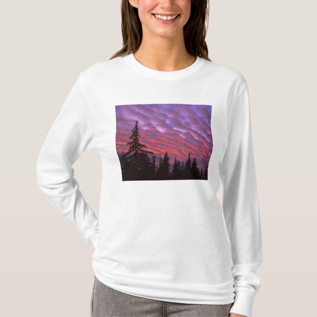 Camiseta EE. UU., Oregón, Three Sisters Wilderness, Intenso (Anverso)