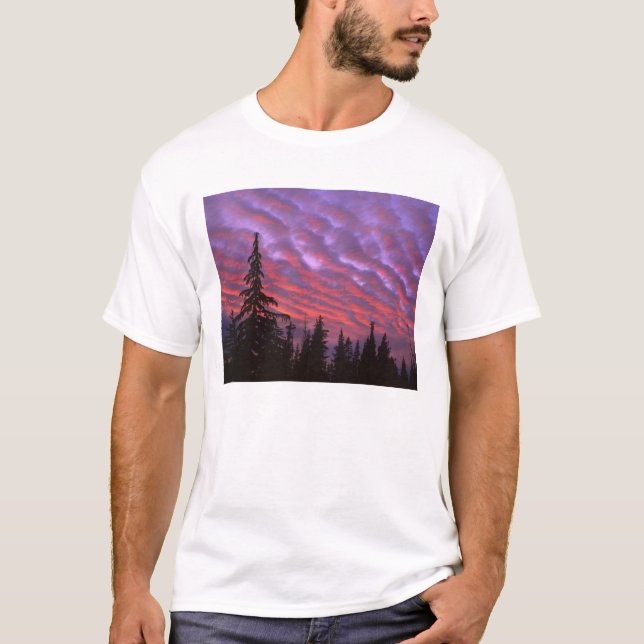 Camiseta EE. UU., Oregón, Three Sisters Wilderness, Intenso (Anverso)
