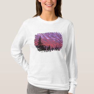 Camiseta EE. UU., Oregón, Three Sisters Wilderness, Intenso