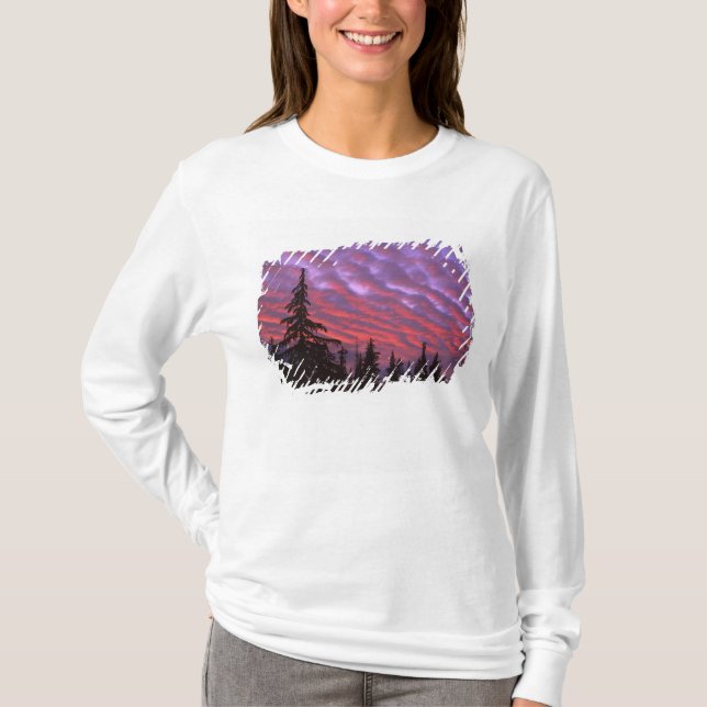Camiseta EE. UU., Oregón, Three Sisters Wilderness, Intenso (Anverso)