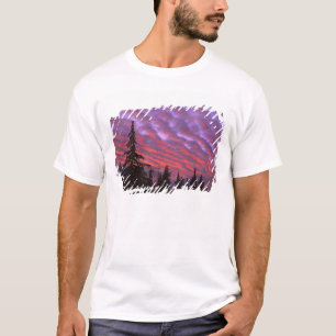 Camiseta EE. UU., Oregón, Three Sisters Wilderness, Vívido