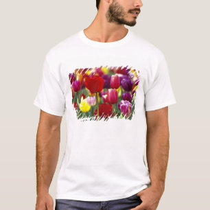 Camiseta EE. UU., Oregón, Valle de Willamette. Hermoso