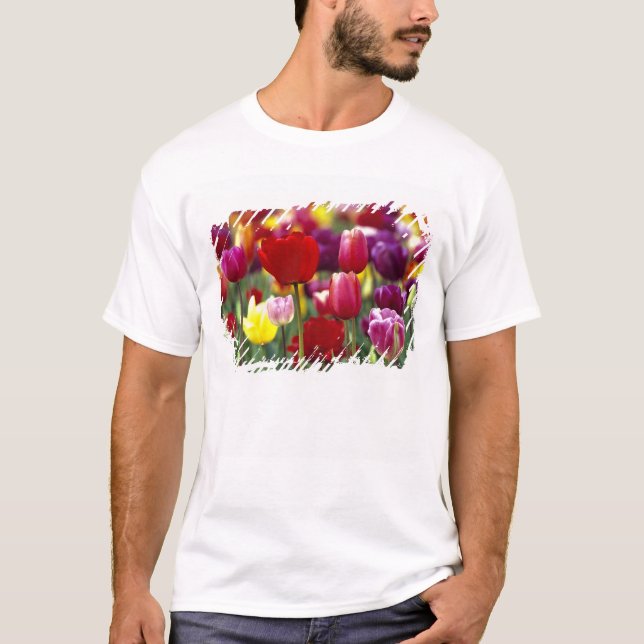 Camiseta EE. UU., Oregón, Valle de Willamette. Hermoso (Anverso)