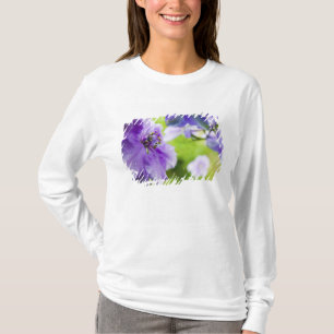 Camiseta EE. UU., Oregón, Valle de Willamette, Larkspur Clo