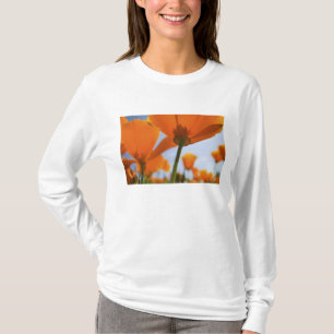 Camiseta EE. UU., Oregón, Valle de Willamette, Primer plano