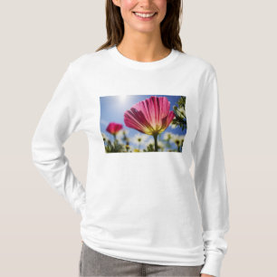 Camiseta EE. UU., Oregón, Valle de Willamette, Primer plano