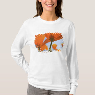 Camiseta EE.UU., Oregón, Valle Willamette, cerca de 2