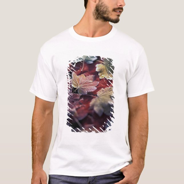 Camiseta EE.UU., Pacífico noroeste. Hojas de arce japonesas (Anverso)