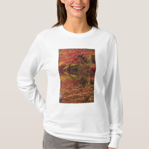 Camiseta EE. UU., Pensilvania, Delaware Water Gap National