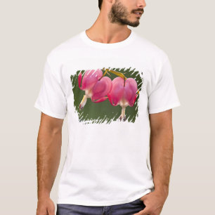 Camiseta EE. UU., Pensilvania. Primer plano de dos corazone