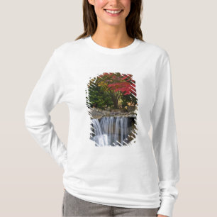 Camiseta EE. UU., Redmond, Washington. Color de otoño en un