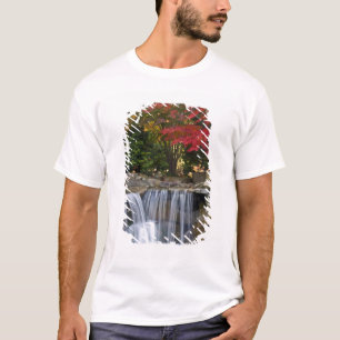 Camiseta EE. UU., Redmond, Washington. Color de otoño en un