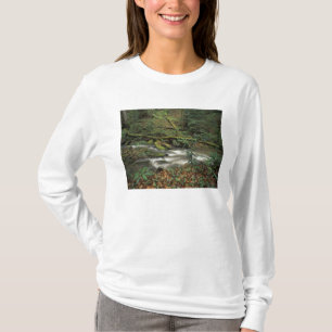 Camiseta EE. UU., Tennessee. Big South Fork National River