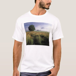 Camiseta EE. UU., Tennessee, Grandes Montañas Humeantes