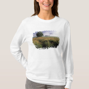Camiseta EE. UU., Tennessee, Grandes Montañas Humeantes