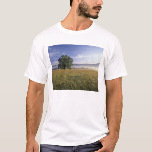 Camiseta EE. UU., Tennessee. Grandes Montañas Humeantes