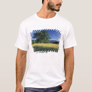 Camiseta EE. UU., Tennessee. Grandes Montañas Humeantes 3
