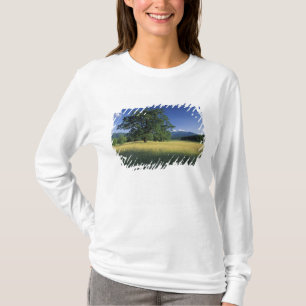 Camiseta EE. UU., Tennessee. Grandes montañas Humeantes 3