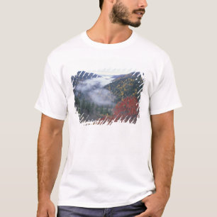 Camiseta EE.UU., Tennessee, Great Smokey Mountains National