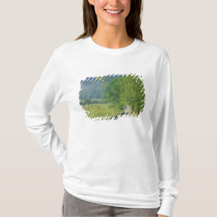 Camiseta EE.UU., Tennessee, Great Smoky Mountains NP,