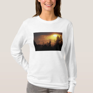 Camiseta EE.UU., Tennessee, Great Smoky Mountains NP.2