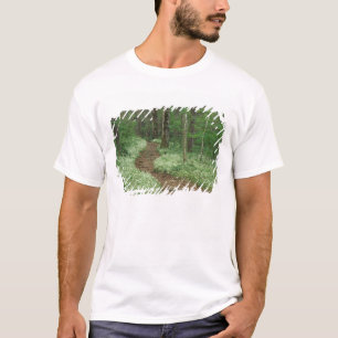 Camiseta EE.UU., Tennessee, Great Smoky Mountains NP, 3