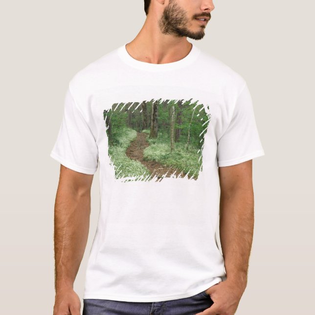 Camiseta EE.UU., Tennessee, Great Smoky Mountains NP, 3 (Anverso)