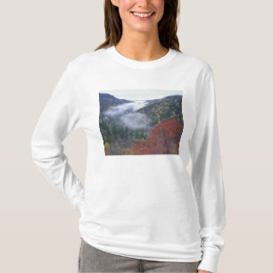 Camiseta EE. UU., Tennessee, Parque Nacional Grandes Montañ