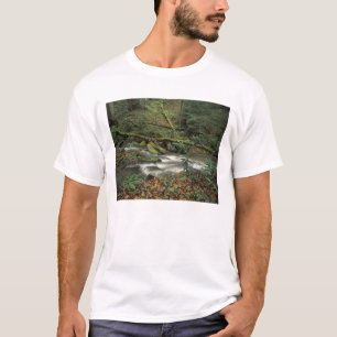Camiseta EE. UU., Tennessee. Río nacional Big South Fork