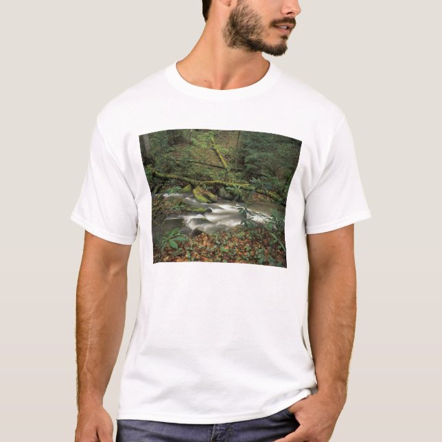 Camiseta EE. UU., Tennessee. Río nacional Big South Fork (Anverso)