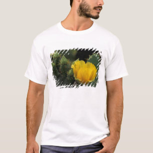 Camiseta EE. UU., Texas, Cactus de pera espinosa en flor.