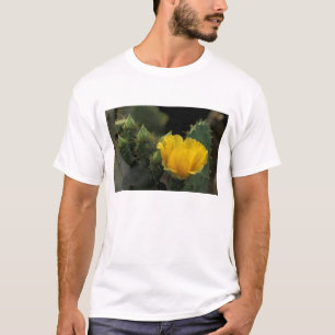 Camiseta EE. UU., Texas, Cactus de pera espinosa en flor.