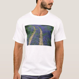 Camiseta EE. UU., Texas, cerca de Marble Falls, huellas en