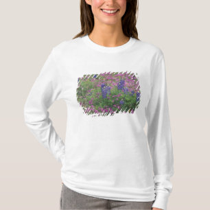 Camiseta EE. UU., Texas Hill Country. Lupinos entre phlox
