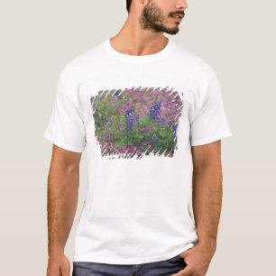 Camiseta EE. UU., Texas Hill Country. Lupinos entre phlox