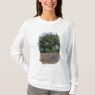 Camiseta EE. UU., Texas, Marble Falls Paintbrush y