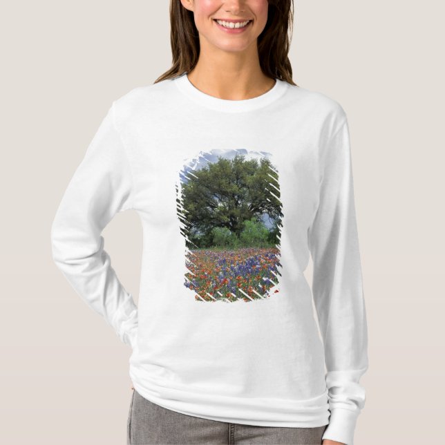 Camiseta EE. UU., Texas, Marble Falls Paintbrush y (Anverso)