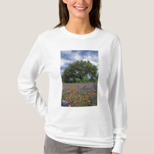 Camiseta EE. UU., Texas, Marble Falls Paintbrush y
