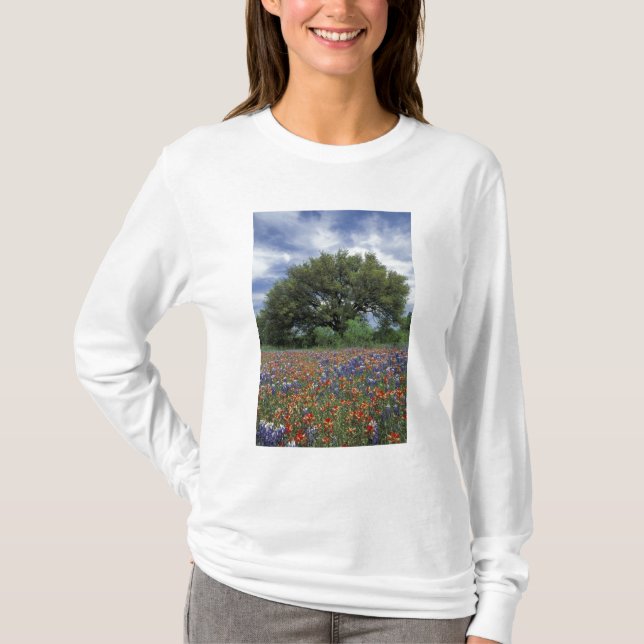 Camiseta EE. UU., Texas, Marble Falls Paintbrush y (Anverso)