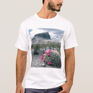 Camiseta EE. UU., Texas, Parque Nacional Big Bend. Floració