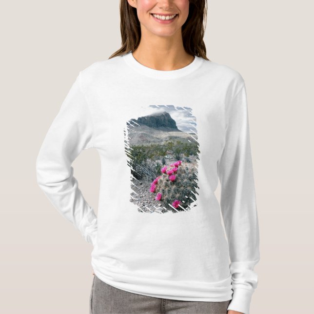 Camiseta EE.UU., Texas, Parque Nacional Big Bend.Florecer (Anverso)