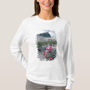 Camiseta EE. UU., Texas, Parque Nacional Big Bend. Florecie