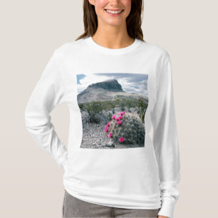 Camiseta EE. UU., Texas, Parque Nacional Big Bend. Florecie