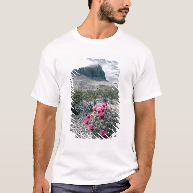 Camiseta EE. UU., Texas, Parque Nacional Big Bend. Florecie (Anverso)