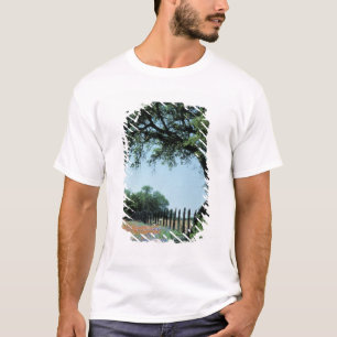 Camiseta EE. UU., Texas, pincel de Texas Hill Country y
