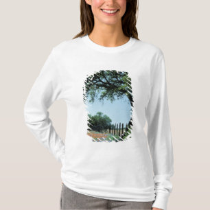 Camiseta EE. UU., Texas, pincel de Texas Hill Country y