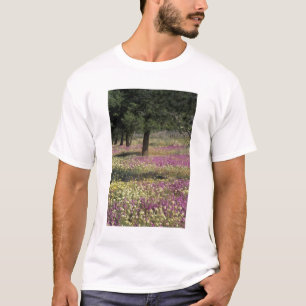 Camiseta EE.UU., Texas, Sand Verbena y ojos marrones