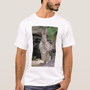 Camiseta EE. UU., Texas, Valle del Río Grande. Desierto sal