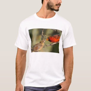 Camiseta EE. UU., Texas, Valle del Río Grande, McAllen. Apa