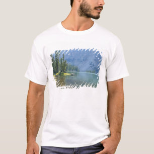 Camiseta EE. UU., Utah, Bosque Nacional Ashley, High Uintas